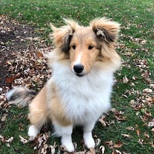 Meet your Posher, Holly